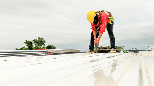 Best Sheet Metal Roofing  in Mentor On The Lake, OH